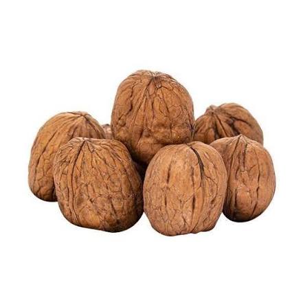 تصویر 4 از گردو کاغذی عالی + خرید به صرفه